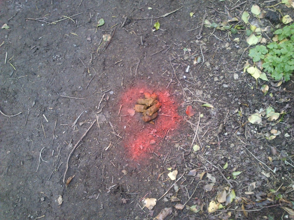 Dobře, Dover. Ale hovno?